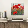 Klaproos - Bloemen - Rood - Paars - Weide plexiglas 5mm klein -sfeer1