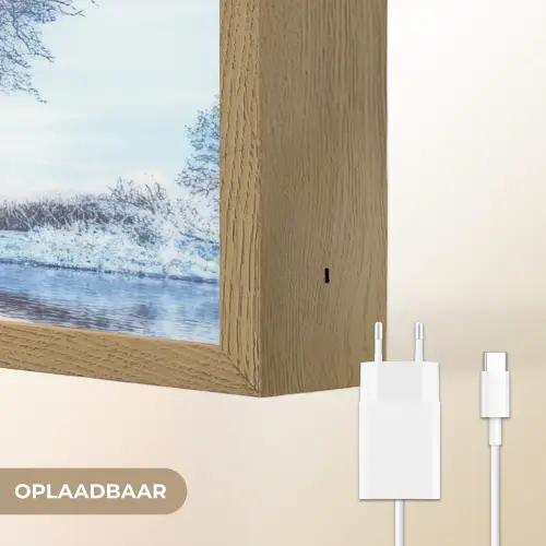 Seizoenen - Kunst - Boom - Herfst - Winter Light Box met batterij (Wandlamp) middel -USP_websiteoplaadbaarNL