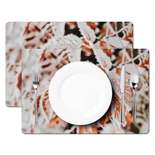 Bladeren - IJs - Winter - Natuur Placemat vinyl groot -zzsfeer2_Kitchenyeah-website