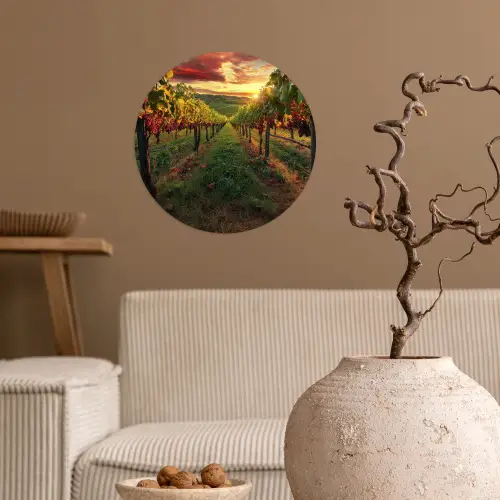Wijngaard - Druiven - Zonsondergang Wandcirkel behangsticker klein -sfeer1