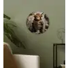 Schotse hooglander - Toilet - Krant - Badkamer Wandcirkel kunststof plaat 5mm dik klein -sfeer3
