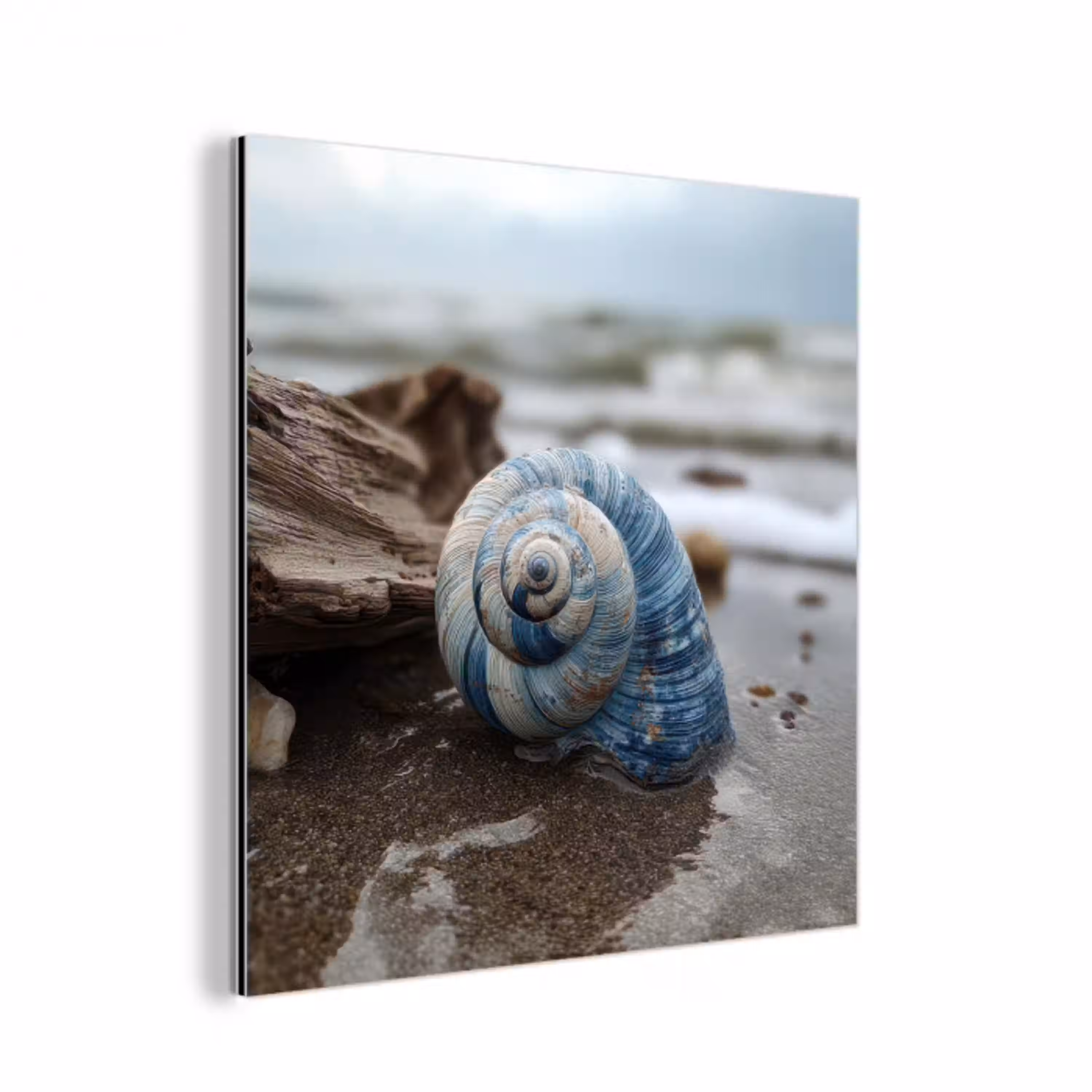 Schelp - Strand - Blauw - Zee aluminium wit klein -3d
