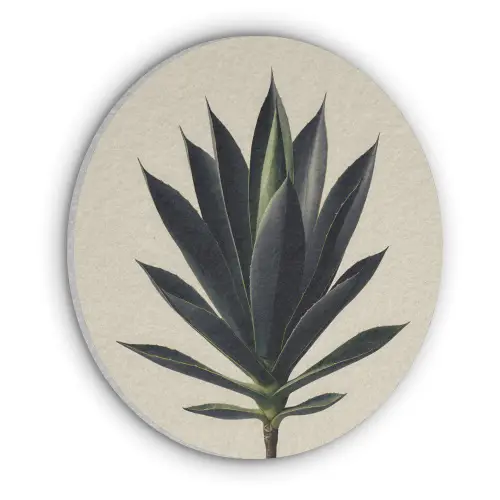 Agaveplant - Symmetrisch - Groen Akoestische PET Vilt - Rond klein -3d