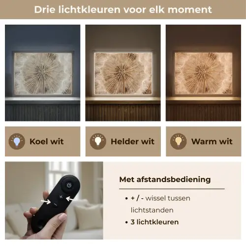 Paardenbloem - Bloemen - Natuur - Bruin Light Box met batterij (Wandlamp) middel -USP_lichtkleurNL