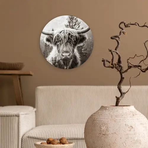 Schotse hooglander - Koe - Dieren - Zwart - Wit Wandcirkel kunststof plaat 5mm dik klein -sfeer1