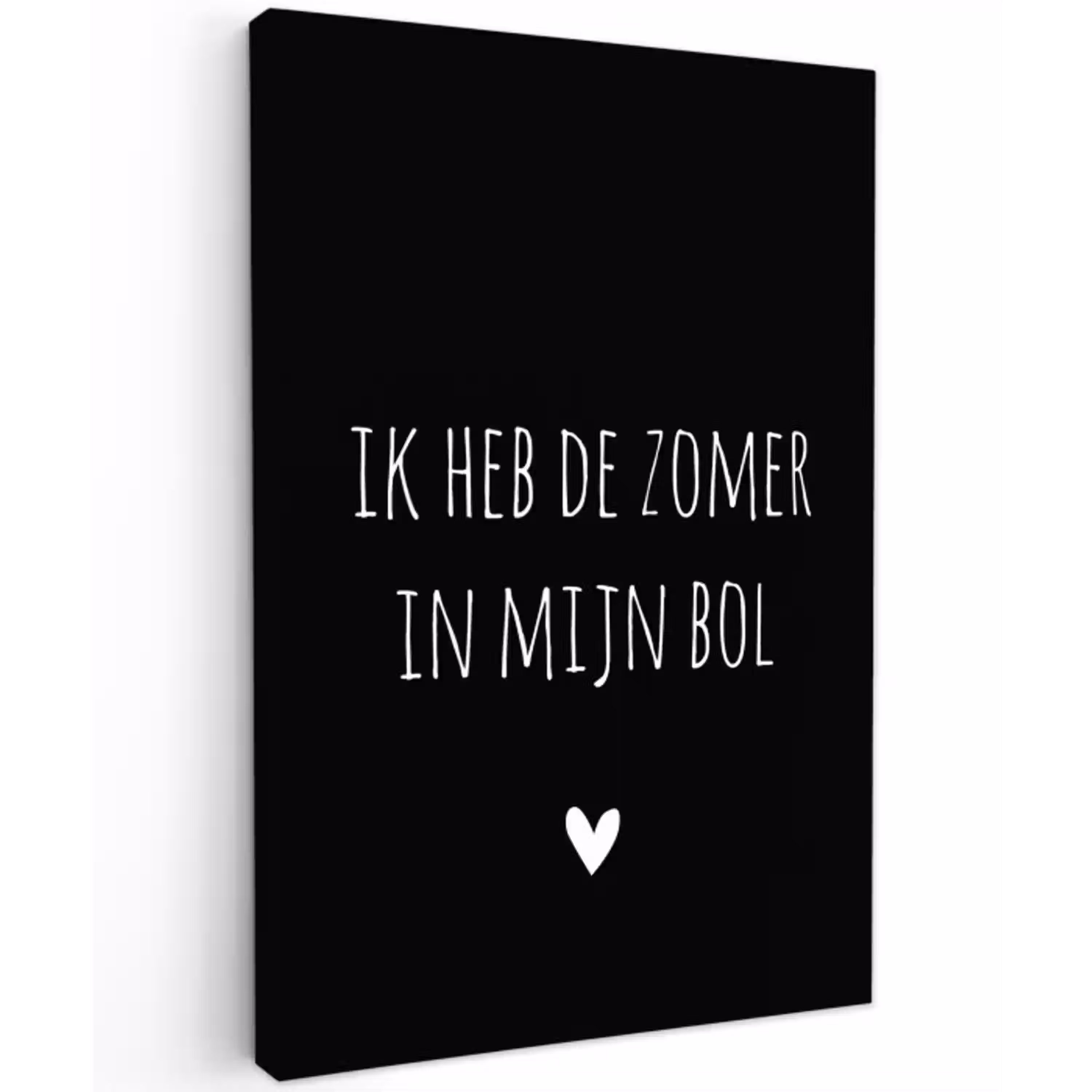 Ik heb de zomer in mijn bol - Quotes - Spreuken - André Hazes Tuinposter op houten frame 2 cm dik klein -3d