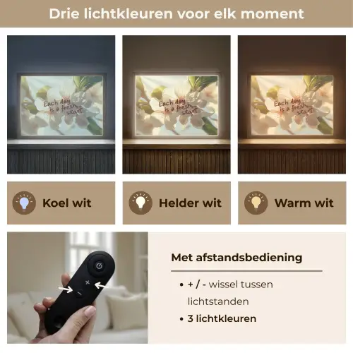 Bloesems - Zonlicht - Quote - Wit Light Box met batterij (Wandlamp) middel -USP_lichtkleurNL