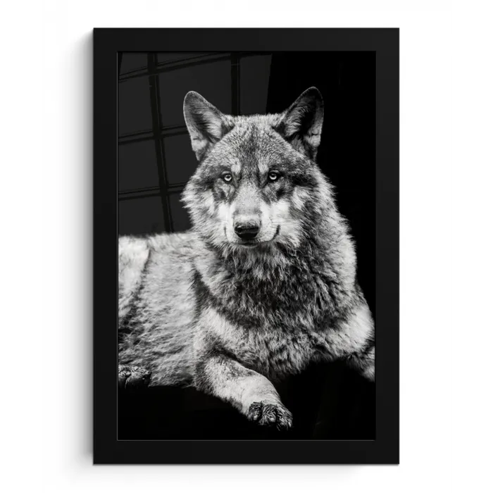 Wilde dieren - Wolf - Zwart - Wit fotolijst zwart zonder passe partout klein -3d