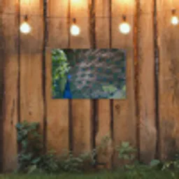 Vogel - Pauw - Veren tuinposter los doek klein -sfeer1