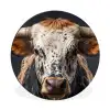 Stier - Kleurrijk - Hoorns Wandcirkel aluminium klein -3d