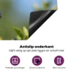 Kolibrie - Bloem - Natuur - Groen Inductie beschermer vinyl 3mm klein -zzzzzzz-cc-onderkant