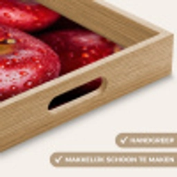 Rood - Appels - Fruit Dienblad Rechthoek middel -USP_HandgreepNL