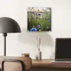Bloemen - Zomer - Korenbloem - Blauw - Zon - Wolken plexiglas 5mm klein -sfeer6
