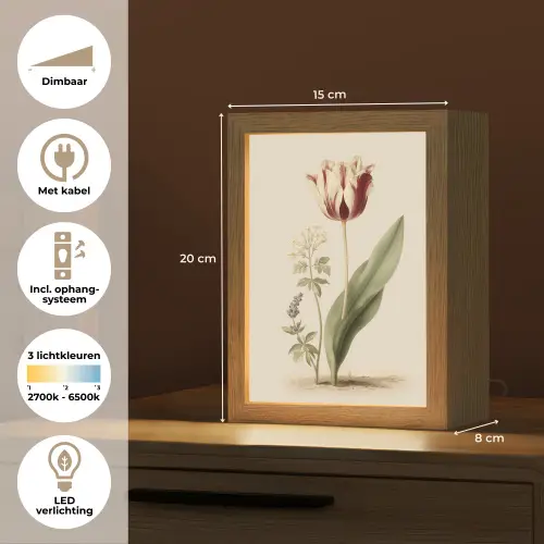 Tulp - Minimalistisch - Beige Light Box met kabel (Tafellamp) klein -USP_NL
