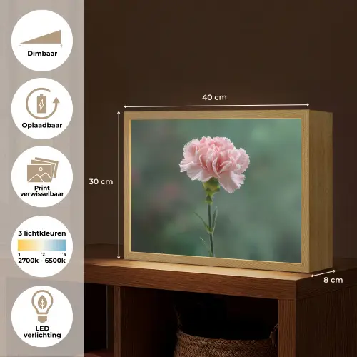 Anjer - Roze - Bloemblaadjes Light Box met batterij (Wandlamp) middel -USP_websiteoverzichtNL