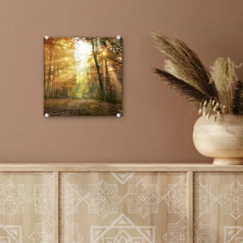 Bos - Herfst - Zon - Landschap - Natuur - Bomen - Bladeren plexiglas 5mm klein -sfeer5