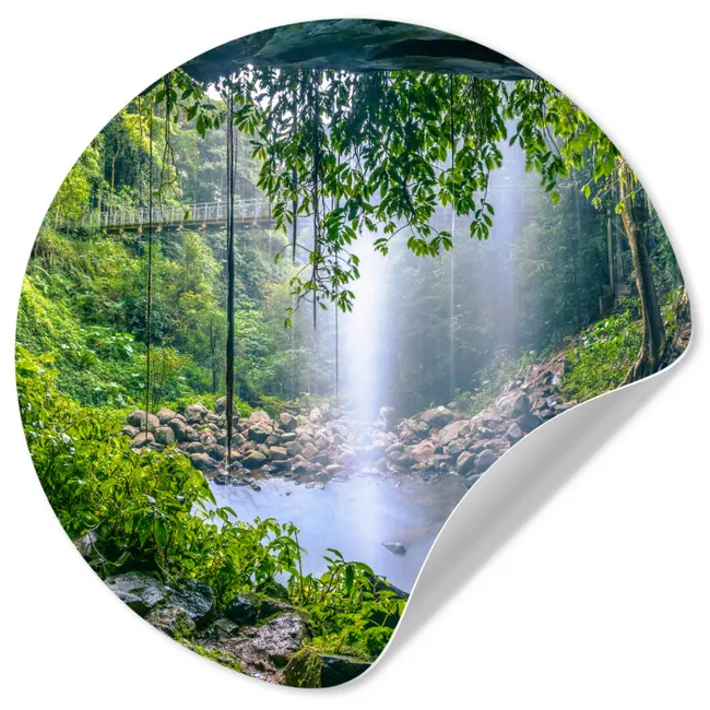 Jungle - Regenwoud - Water - Waterval - Planten Wandcirkel behangsticker klein -3d