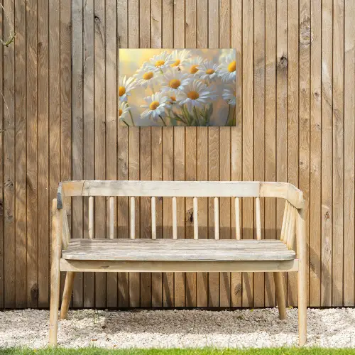Madeliefjes - Wit - Zonlicht Tuinposter op houten frame 2 cm dik klein -sfeer4