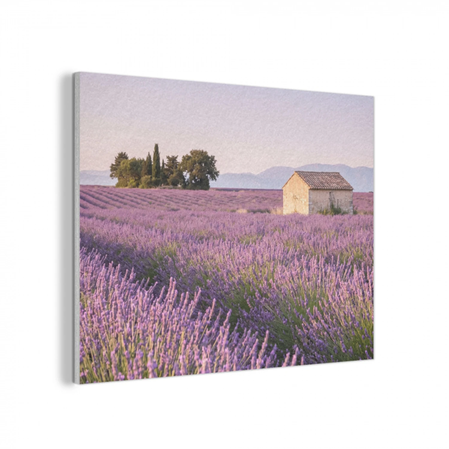 Lavendel - Landschap - Sereen - Paars PET vilt klein -3d