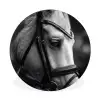 Paard - Schimmel - Portret Wandcirkel aluminium klein -3d