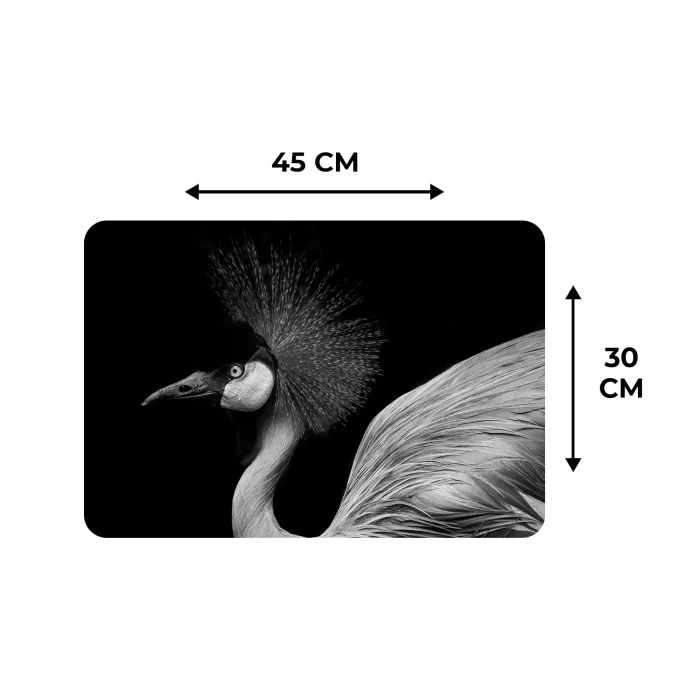 Kraanvogel - Zwart - Wit - Vogel - Dieren Placemat vinyl groot -specs