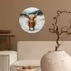 Schotse Hooglander - Sneeuw - Winter - Dieren Wandcirkel kunststof plaat 5mm dik klein -sfeer1