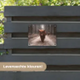 Hooglander in het Bos tuinposter los doek klein -sfeer3
