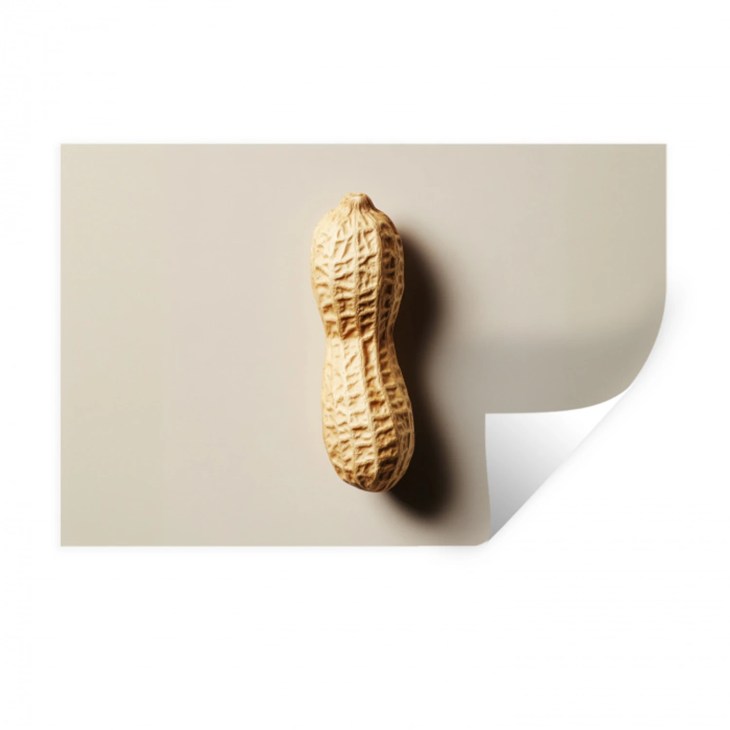 Pinda - Ruw - Beige Muursticker klein -3d