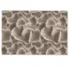Waaiervorm - Beige - Vezel textuur Deurmat klein 898 -zkaufland3d