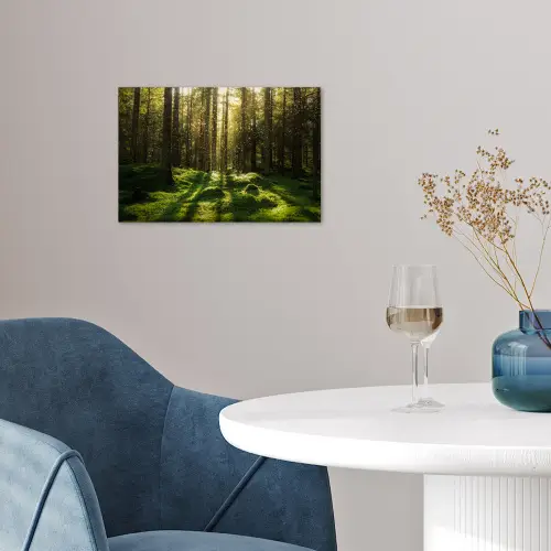 Bomen - Bos - Mos - Planten - Zon - Natuur poster papier klein -sfeer3
