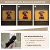 Hond - Oranje - Roos - Valentijn Light Box met batterij (Wandlamp) middel -USP_dimbaarNL