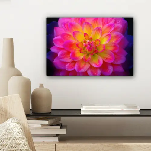 Roze - Dahlia - Kleurrijk canvas 2cm klein -sfeer6