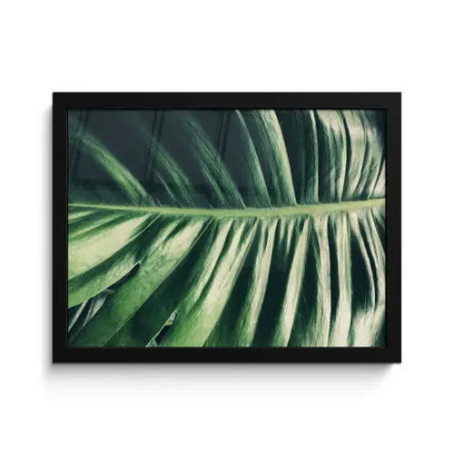 Inductie beschermer - Bananenblad - Tropisch - Jungle - Bladeren fotolijst zwart zonder passe partout klein -3d