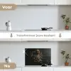 Kat - Pak - Oranje - Sigaar keuken achterwand spatscherm klein -voor_na_NL