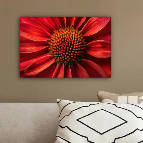 Close up - Bloem- Rood canvas 2cm klein -sfeer3