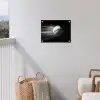 Honkbal - Wit - Vliegt tuinposter los doek klein -sfeer8
