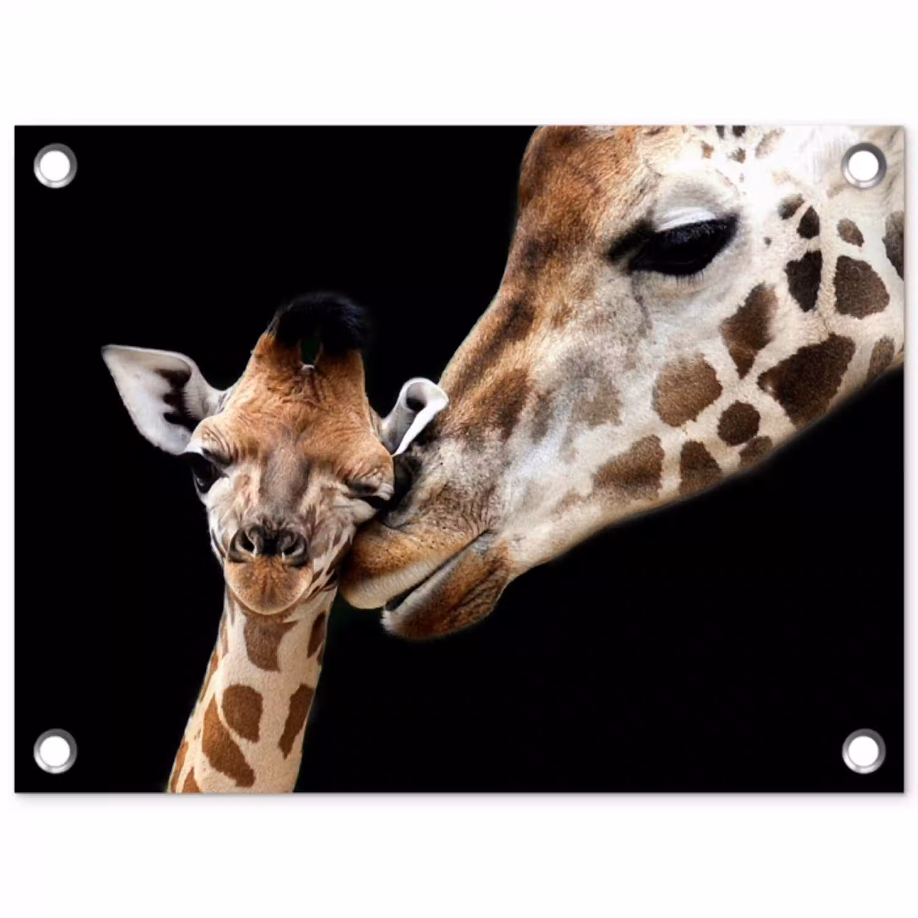 Giraffe - Dieren - Zwart - Portret - Dieren tuinposter los doek klein -3d