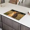 Leeuwin - Gras - Geel Inductie beschermer vinyl 3mm klein -sfeer8