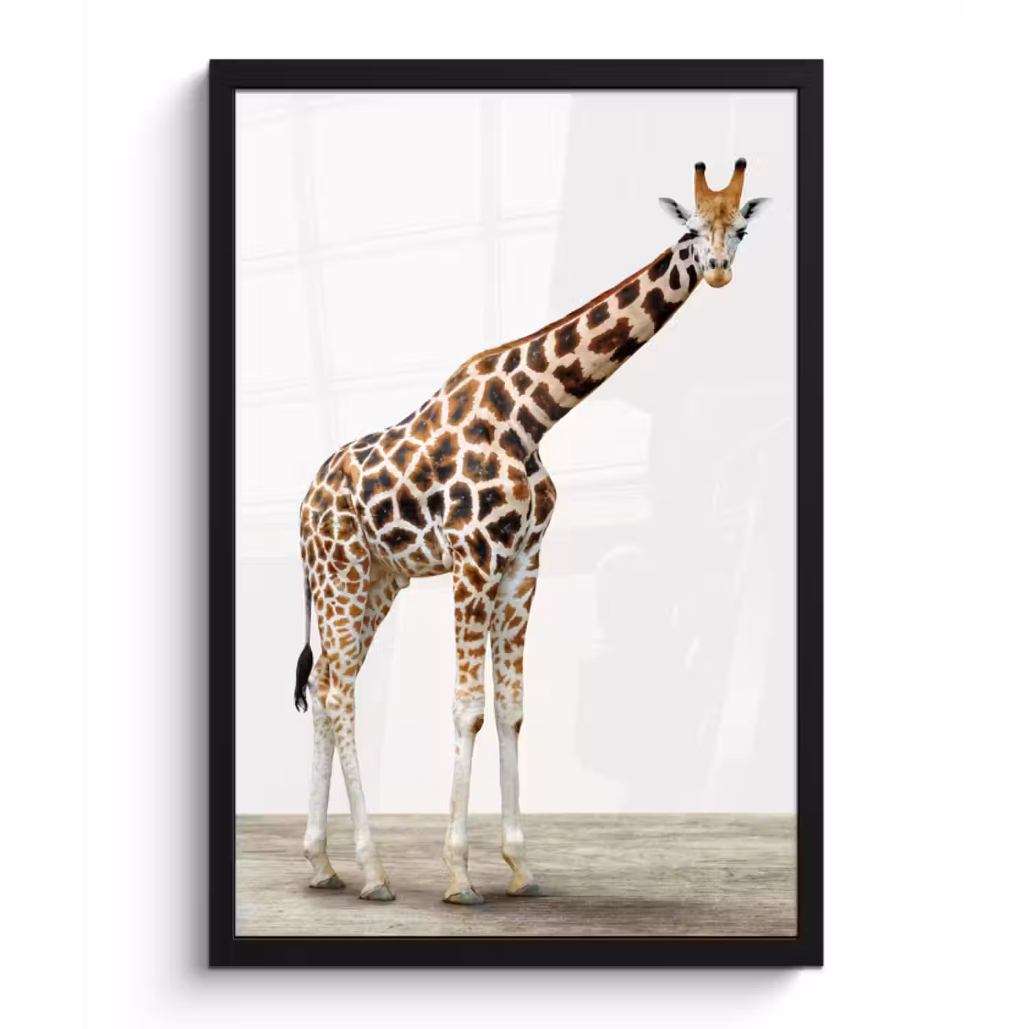 Poster met lijst - Giraffe - Dieren - Witte achtergrond - Kinderen - Jongen - Meisje