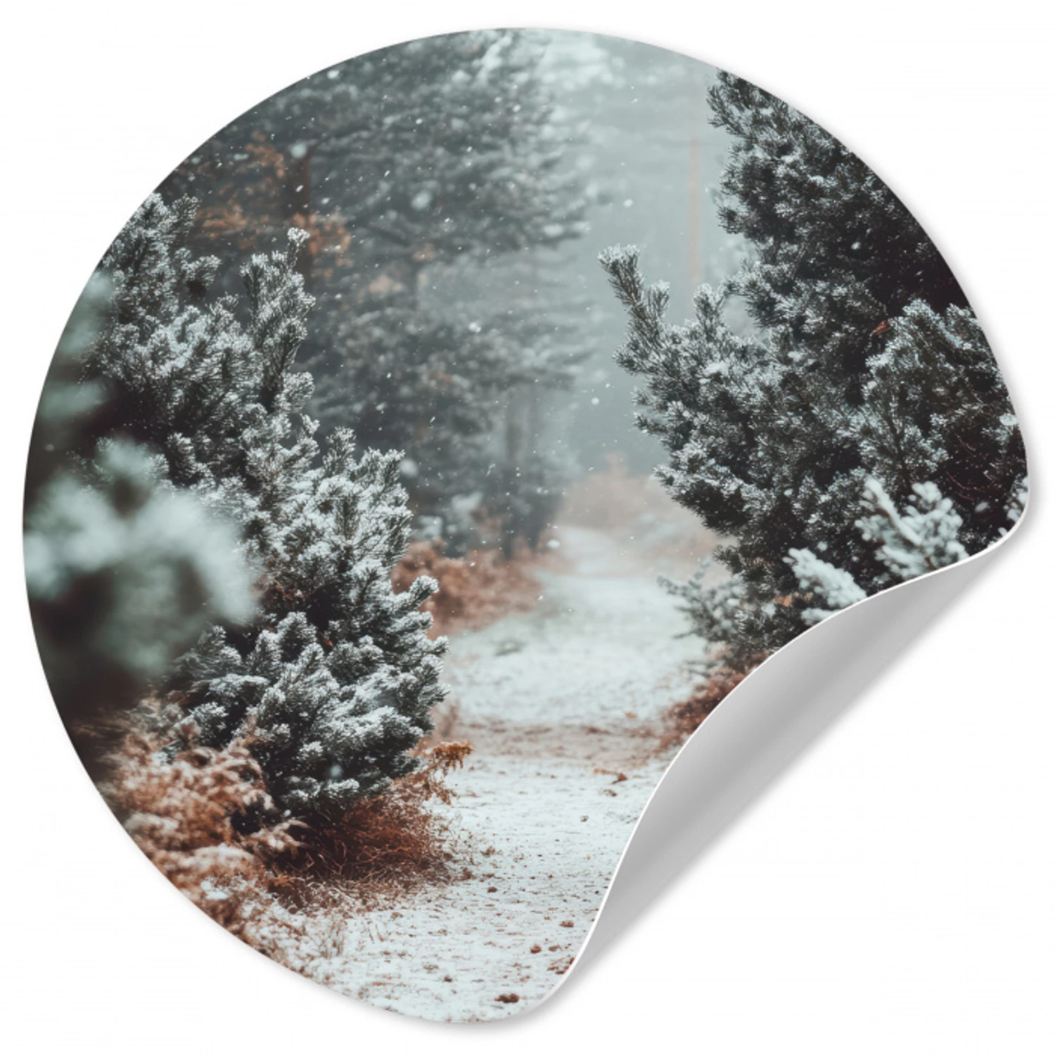 Bos - Winter - Bomen - Natuur - Pad - Sneeuw Wandcirkel behangsticker klein -3d