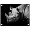 Dieren - Neushoorn - Zwart - Wit - Portret tuinposter los doek klein -3d