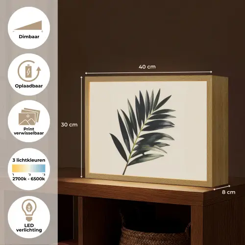 Palmblad - Subtiel - Groen - beige Light Box met batterij (Wandlamp) middel -USP_websiteoverzichtNL