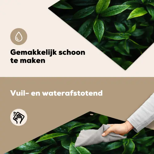 Bladeren - Regendruppels - Licht - Groen Inductie beschemer met haakjes middel -ky-schoon-nl