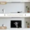 Giraffe - Dier - Zwart - Wit keuken achterwand spatscherm klein -voor_na_NL