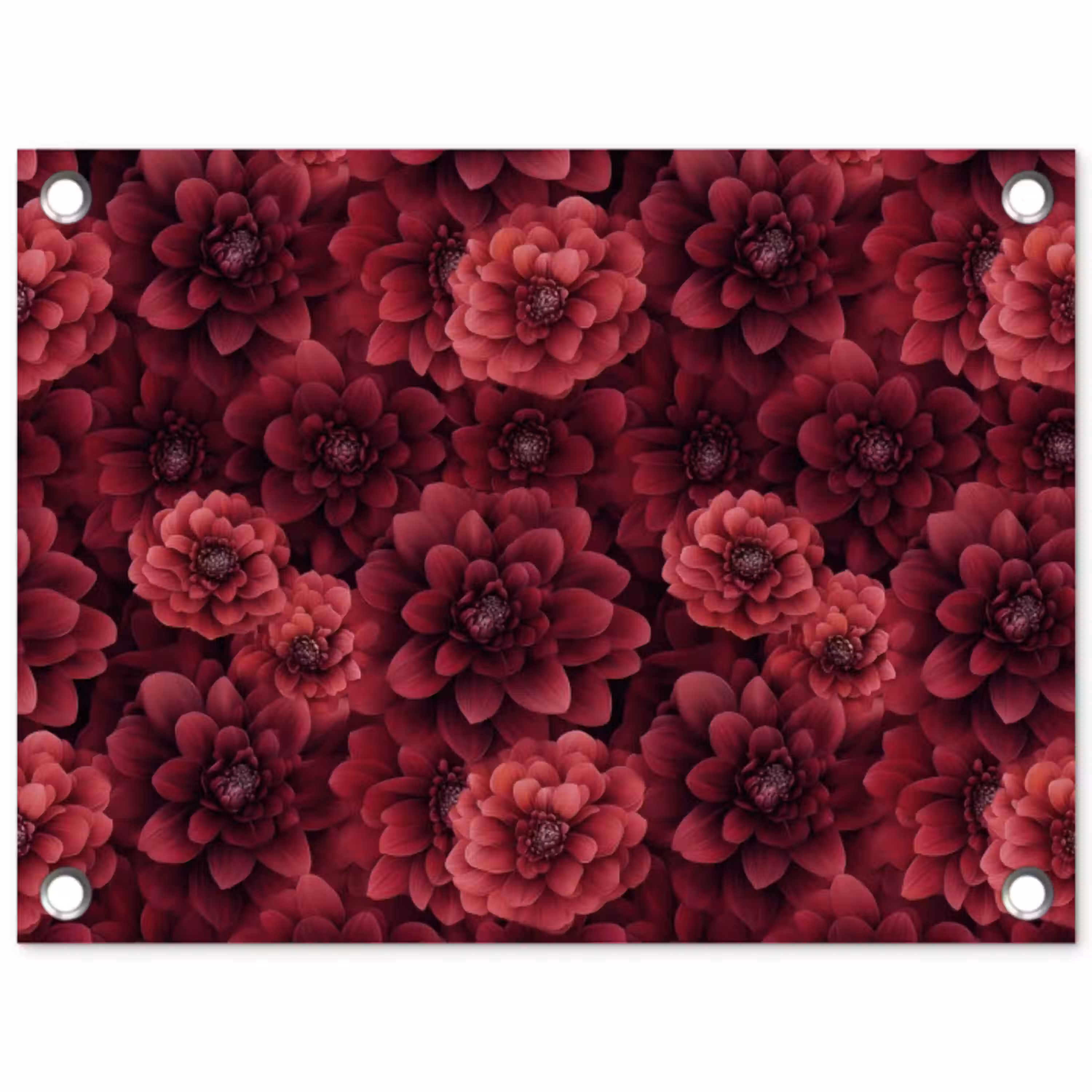 Dahlias - Bloemen - Rood tuinposter los doek klein 239 -3d