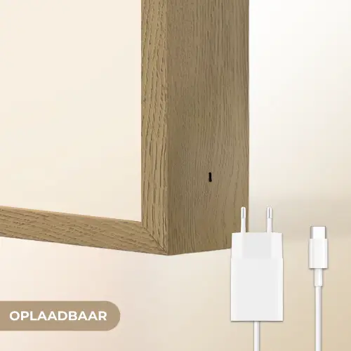 Schelp - Roze - Structuur Light Box met batterij (Wandlamp) middel -USP_websiteoplaadbaarNL