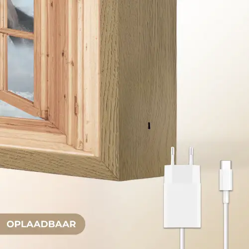 Doorkijk - Paarden - Winter - Dieren - Natuur - Hout Light Box met batterij (Wandlamp) middel -USP_websiteoplaadbaarNL