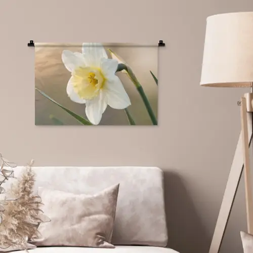 Narcis - Bloem - Minimalistisch Wandkleed katoen klein -sfeer4