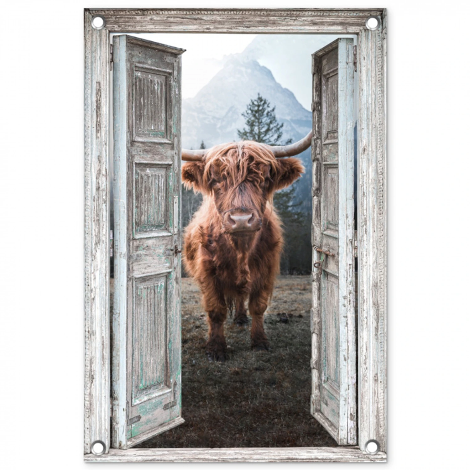 Oude deuren naar Schotse Hooglander tuinposter los doek klein -3d