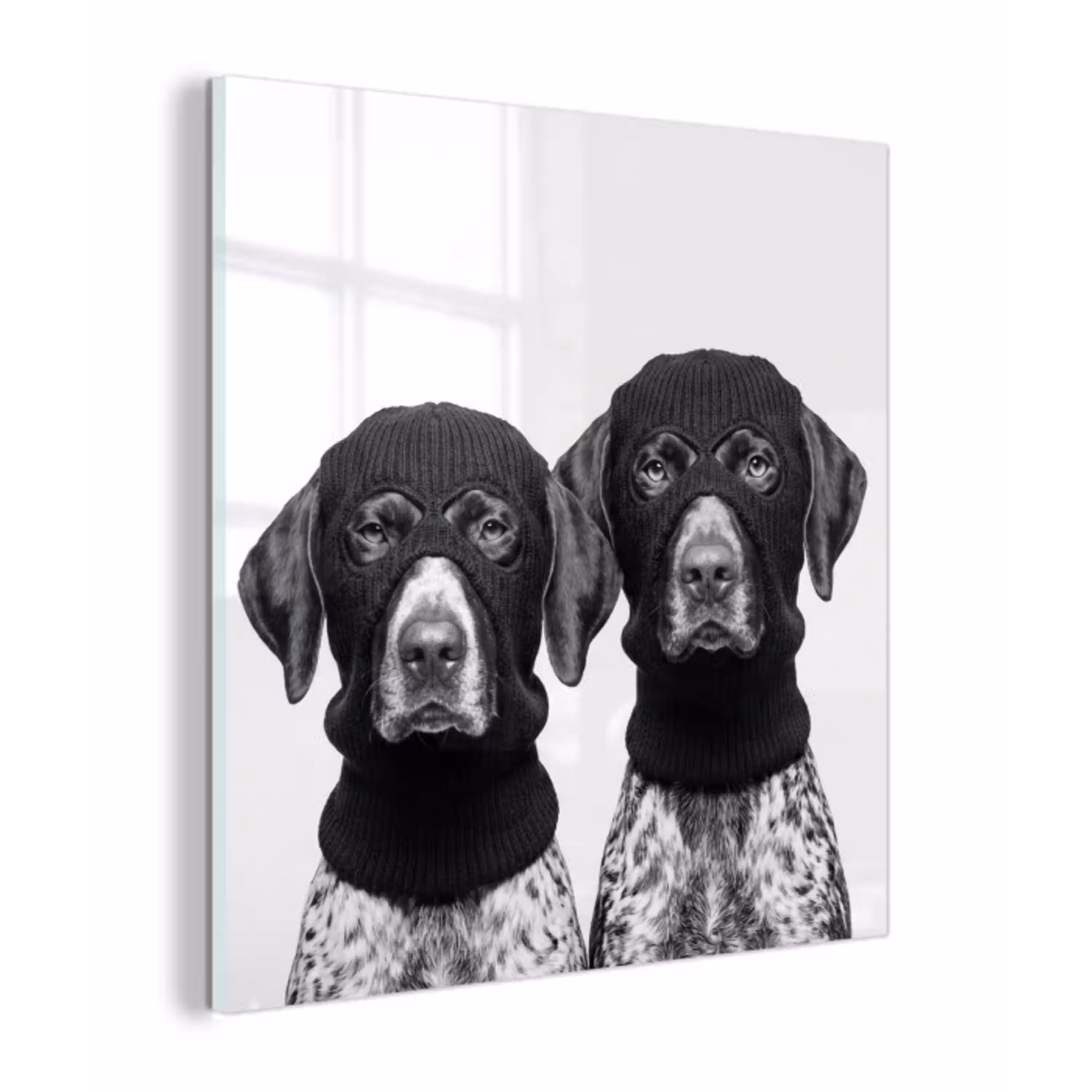 Honden - Bivakmuts - Zwart - wit plexiglas 5mm klein -z3d